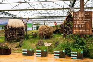 水陆交界处护坡植物的选择：一场自然的对话