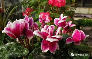 第一招：温度控制是关键