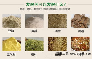 红薯渣发酵饲料的方法和红薯生喂给猪的适宜性如何？