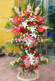 花艺行业的龙头公司营收超8亿， 揭秘其三大业务板块