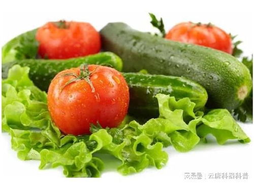 有机蔬菜真的比普通蔬菜平安吗？