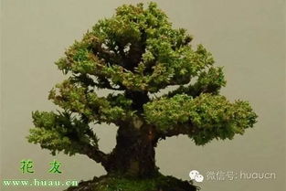 心得一：耐心是关键