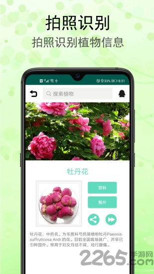 不仅是个识别工具， 还是个学习小帮手