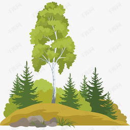 树木的生长奥秘：探寻《园林树木学第三版》中的生态秘境