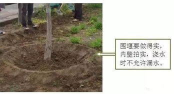 基础防涝措施——排水沟