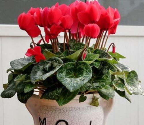 小编的暴论时间