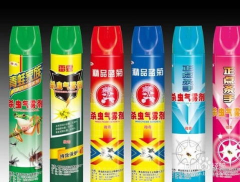 野猫与杀虫剂：一场猫与人类的较量