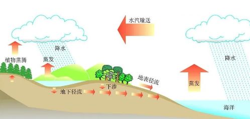 生态效应的应用与实践