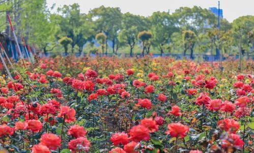 话不多说直接上图