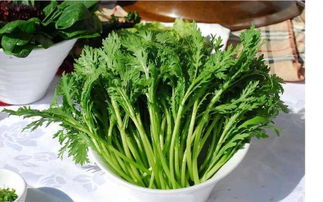 院子换草记：省钱大作战