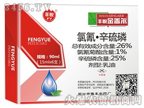 技术创新与市场需求