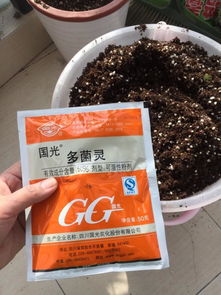 多菌灵水拌土的奥秘：土壤杀菌效果揭秘