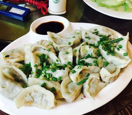 好吃又好种的菜，dou在这儿了