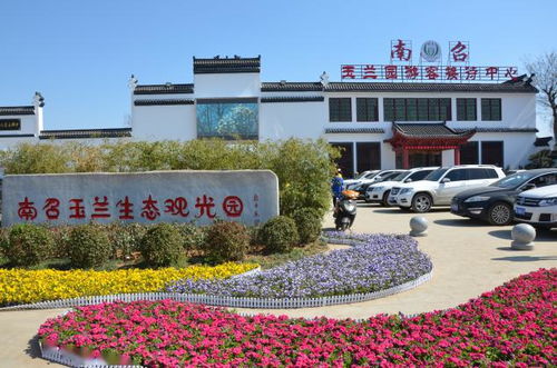 园区引领， 龙头带动