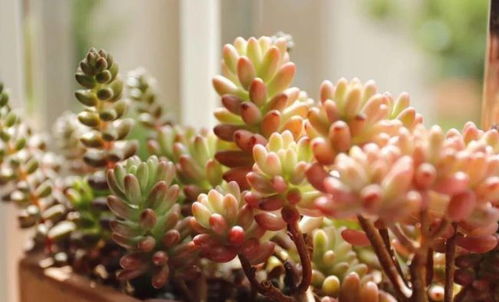 第二句口诀：夏冬控水， 春秋生长