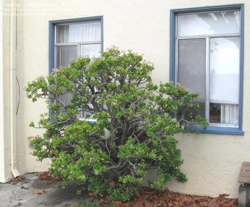 通风透气不可少