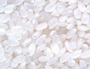 2. 注意稻米的产地