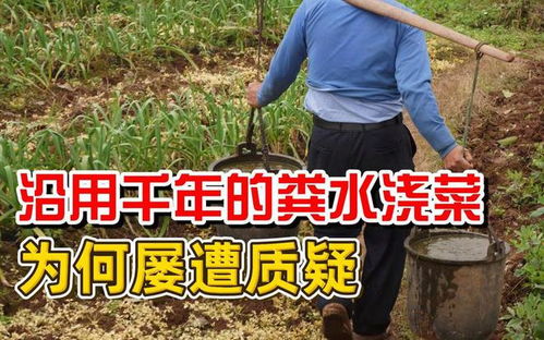 那这农药残留的水，菜会不会吃不死人？