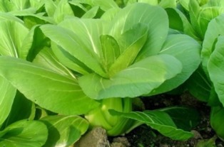 现存三大认知误区与科学对策