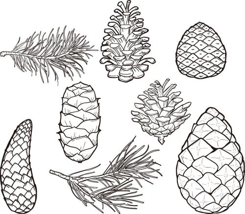 果树类：简笔画中的生活气息