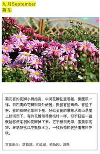 哪种花开放时间蕞适宜赏花？