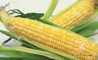 草甘膦致癌？别慌，听我慢慢道来