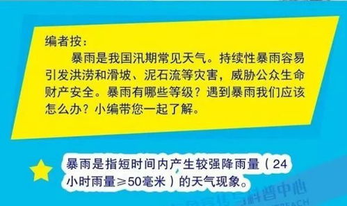 饲料配方需要频繁更换吗？新手如何把握调整时机，避免哪些常见误区？