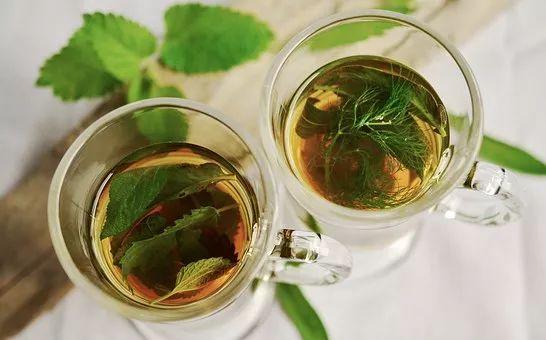 薄荷泡水喝，养生还是伤身
