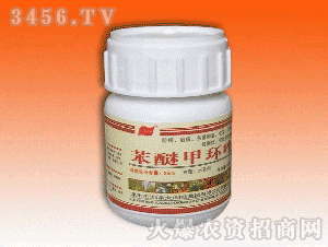 老王的香蕉园丰收，原来是用了苯醚甲环唑