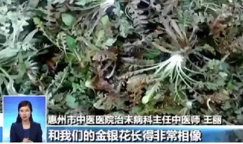 颜色判断，小心异常