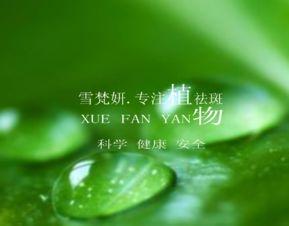 1. 大葱液，驱除白粉病的小助手