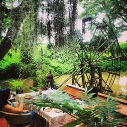 满江红：稻田里的“红地毯”