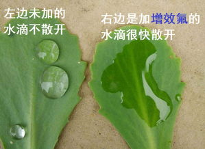 沼液防治蚜虫：天然与农药的完美结合