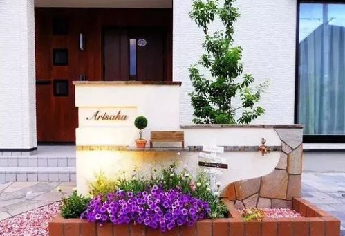 阳光下的花儿们