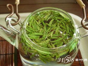 竹叶青是绿茶吗？它究竟属于哪一类茶