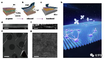 什么是二维钙钛矿？