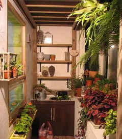 阳台养鸡的夏季降温方法