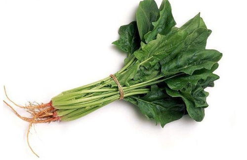菠菜：春天的美味佳肴