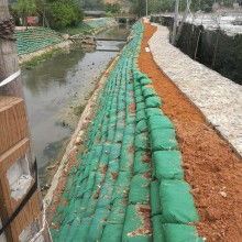 河道护坡植物选择那些事儿