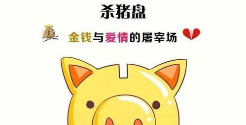 轻松选优猪，12招小技巧