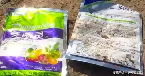 多菌灵在农业生产中的应用