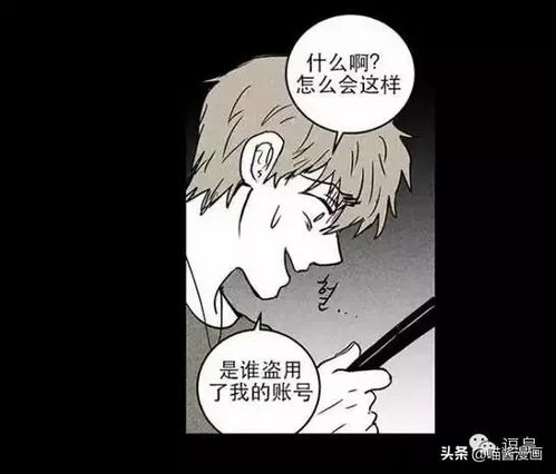 众说纷纭的猜测