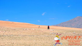 高寒地区的冷魅力：零下30度，花卉也嫩绽放？