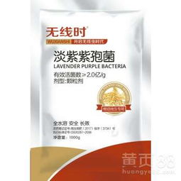 根结线虫特效药有哪些？这款药亲测效果真不错