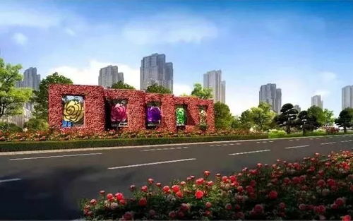 汉中月季：那抹鲜艳的风景线