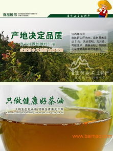 江西省茶油苗精选指南：联系电话一览