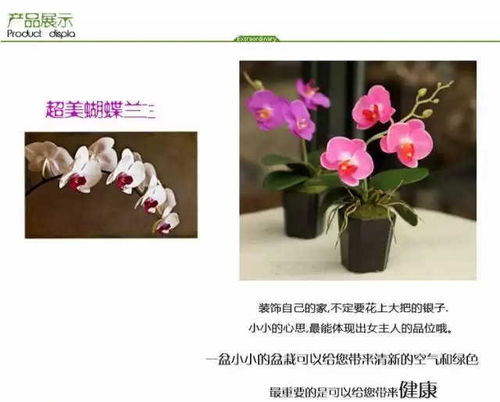 播种的艺术：无菌播种的技巧