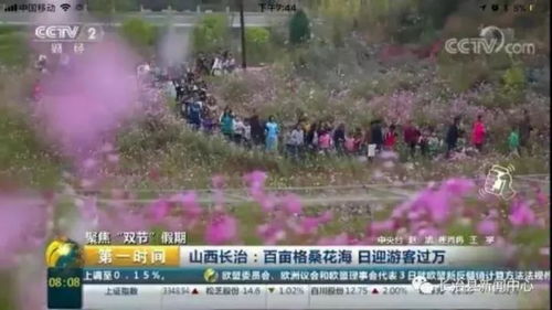 养殖狐狸成为致富新途径，带动农村经济发展