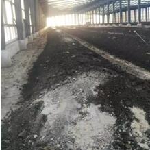 餐厨垃圾和秸秆饲料化利用过程中，如何有效处理饲料中的重金属残留问题？