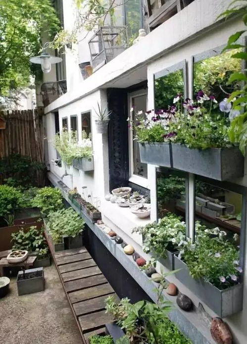 庭院之美， 传统与现代的交融